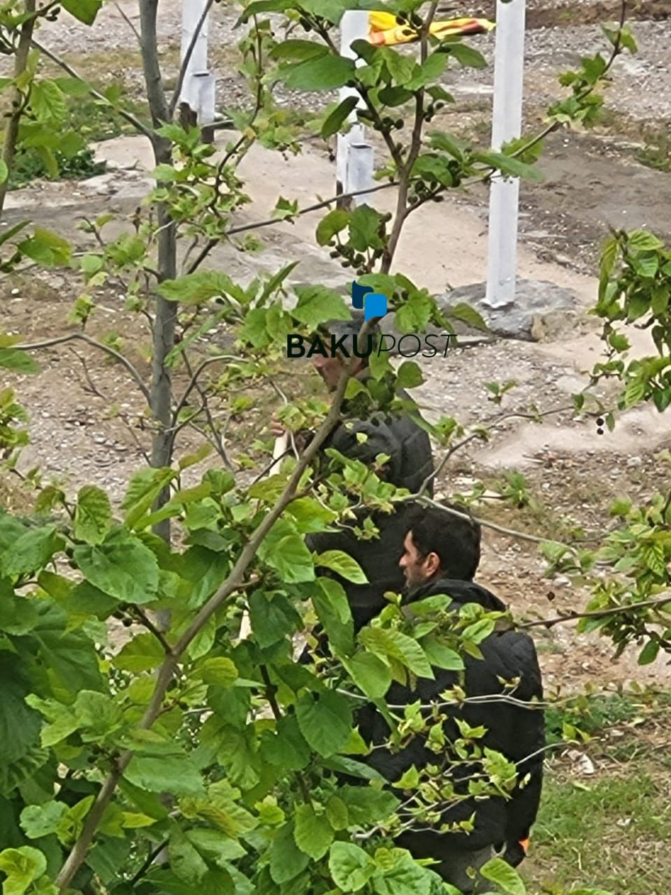 Bakupost.az