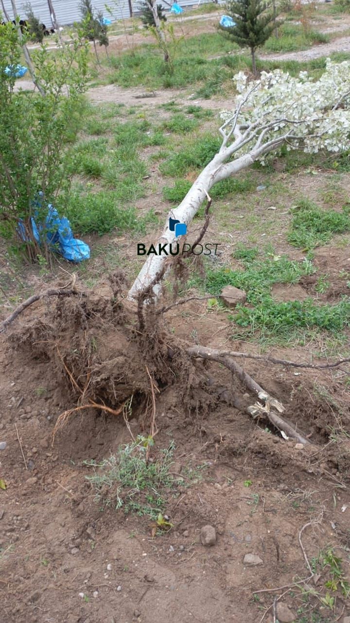 Bakupost.az