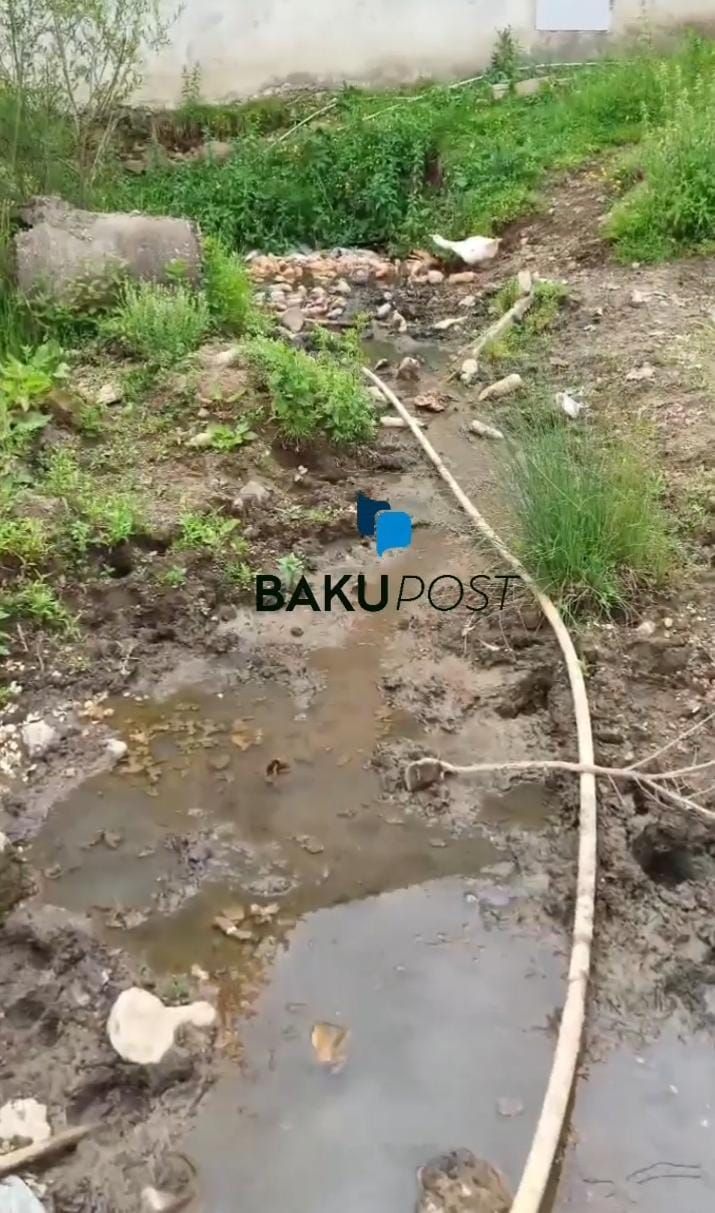 Bakupost.az