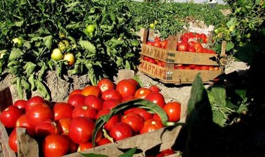 Rusiya Azərbaycandan bu məhsulu qadağan etdi, digər məhsulu satışa buraxmadı  