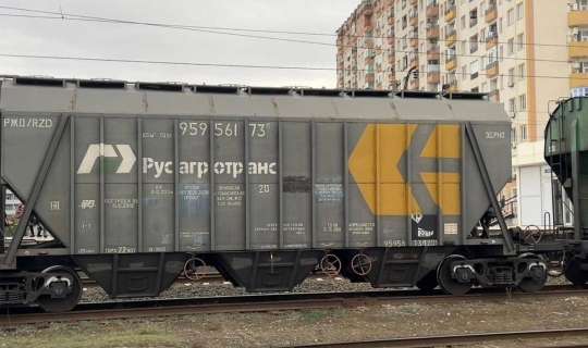 Volqoqraddan Azərbaycana 4,7 min ton buğda gətirilib 