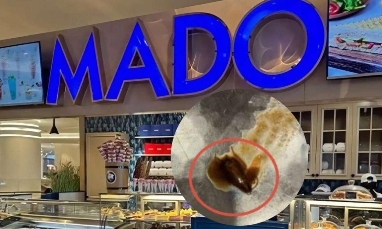 “Mado”da müştəriyə "tarakanlı" şorba verdilər - FOTO
