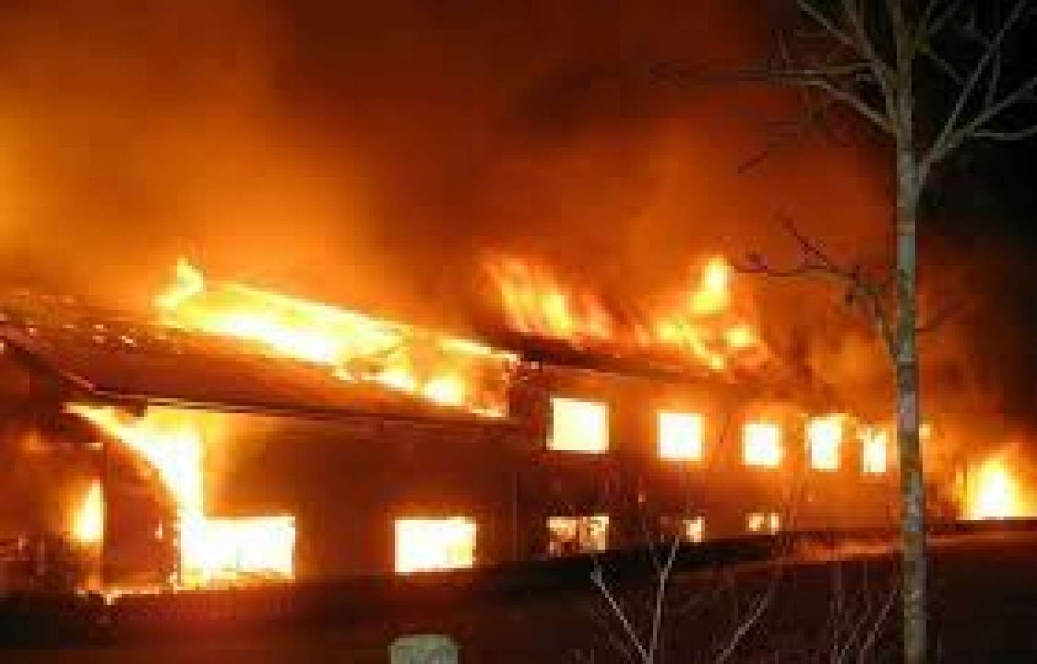 Salyanda fermada güclü yanğın: 30-dan çox mal-qara tələf oldu 