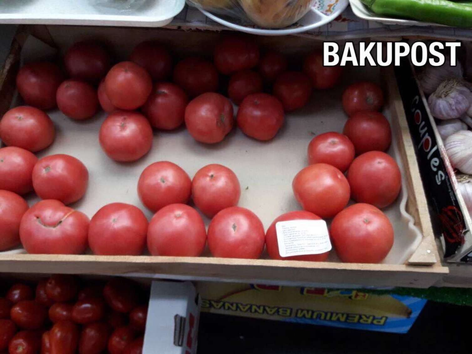 Azərbaycanlı fermer Kəlbəcərdə pomidor yetişdirir -  FOTO