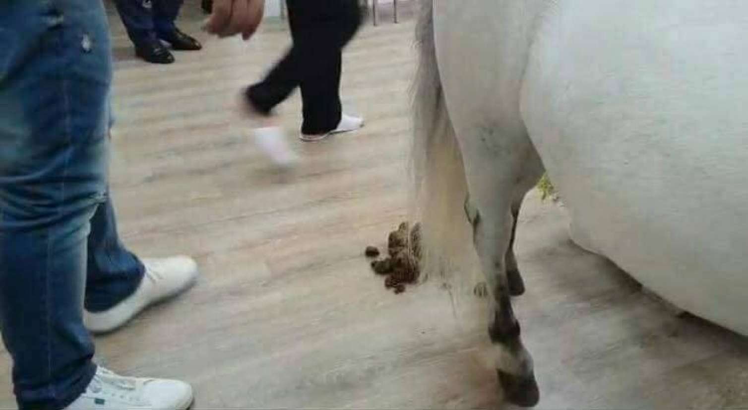 Hacı Nuranın “xərçəng şou”su və ya batan hospitaldan səhiyyəyə “poni şıllağı” 