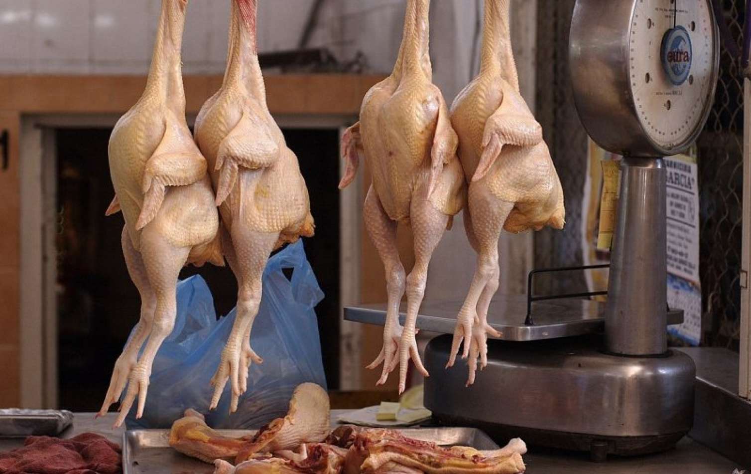 Azərbaycanda toyuq əti bahalaşacaq? -  AÇIQLAMA