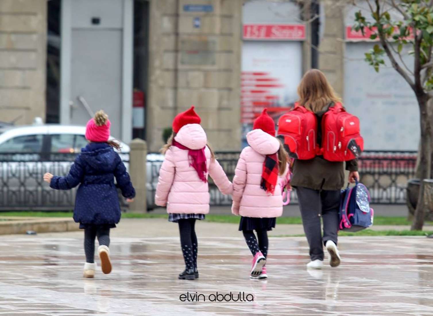 Orta məktəblər pullu olacaq? -  Nazirlikdən cavab, ekspert rəyi