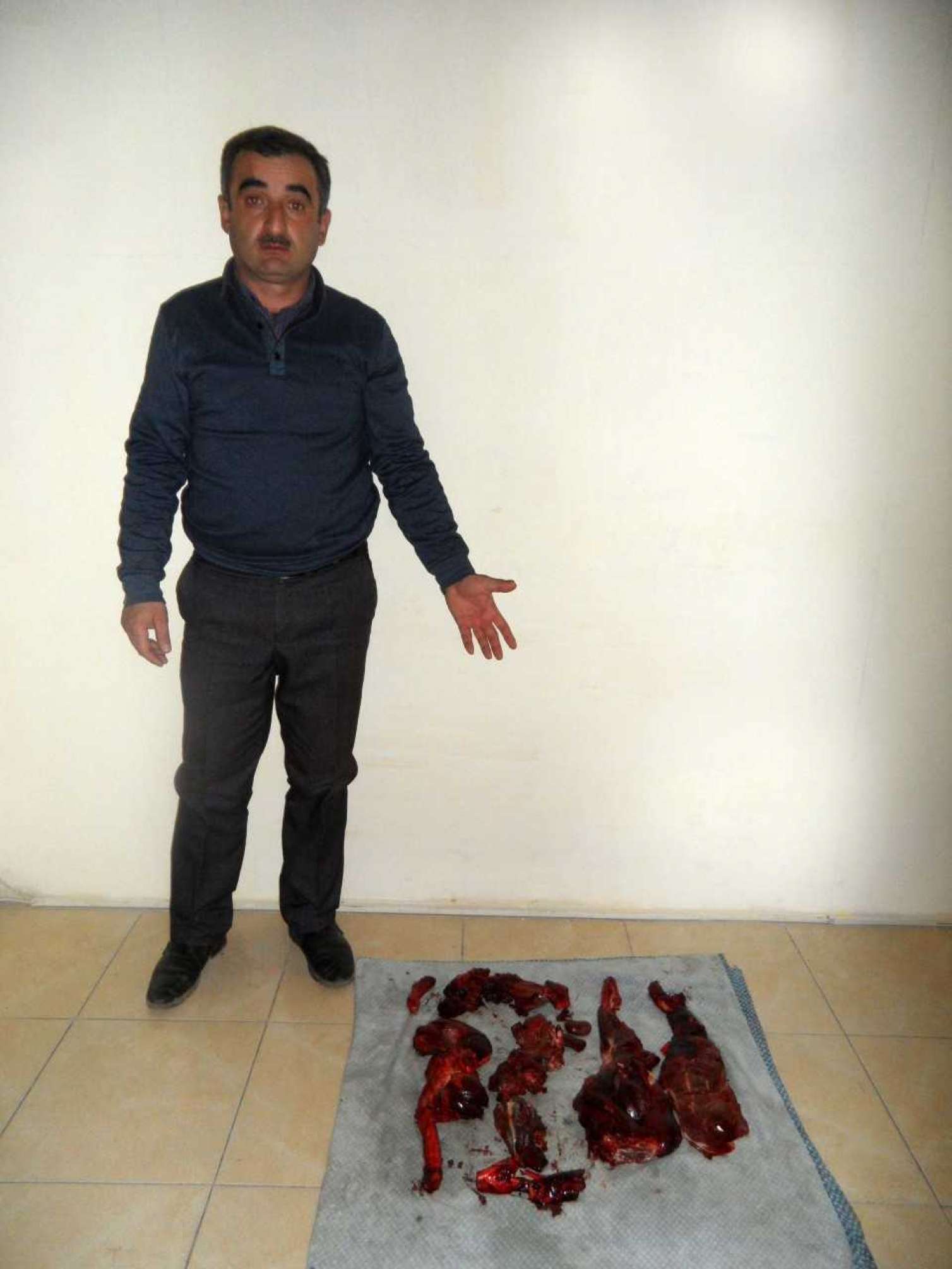 Ceyran ovlayan şəxs saxlanıldı  - FOTOLAR