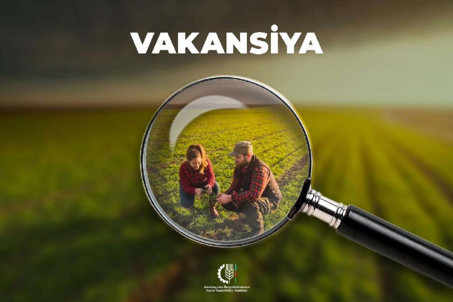 İş axtaranların nəzərinə! -  Nazirlik vakansiya elan etdi