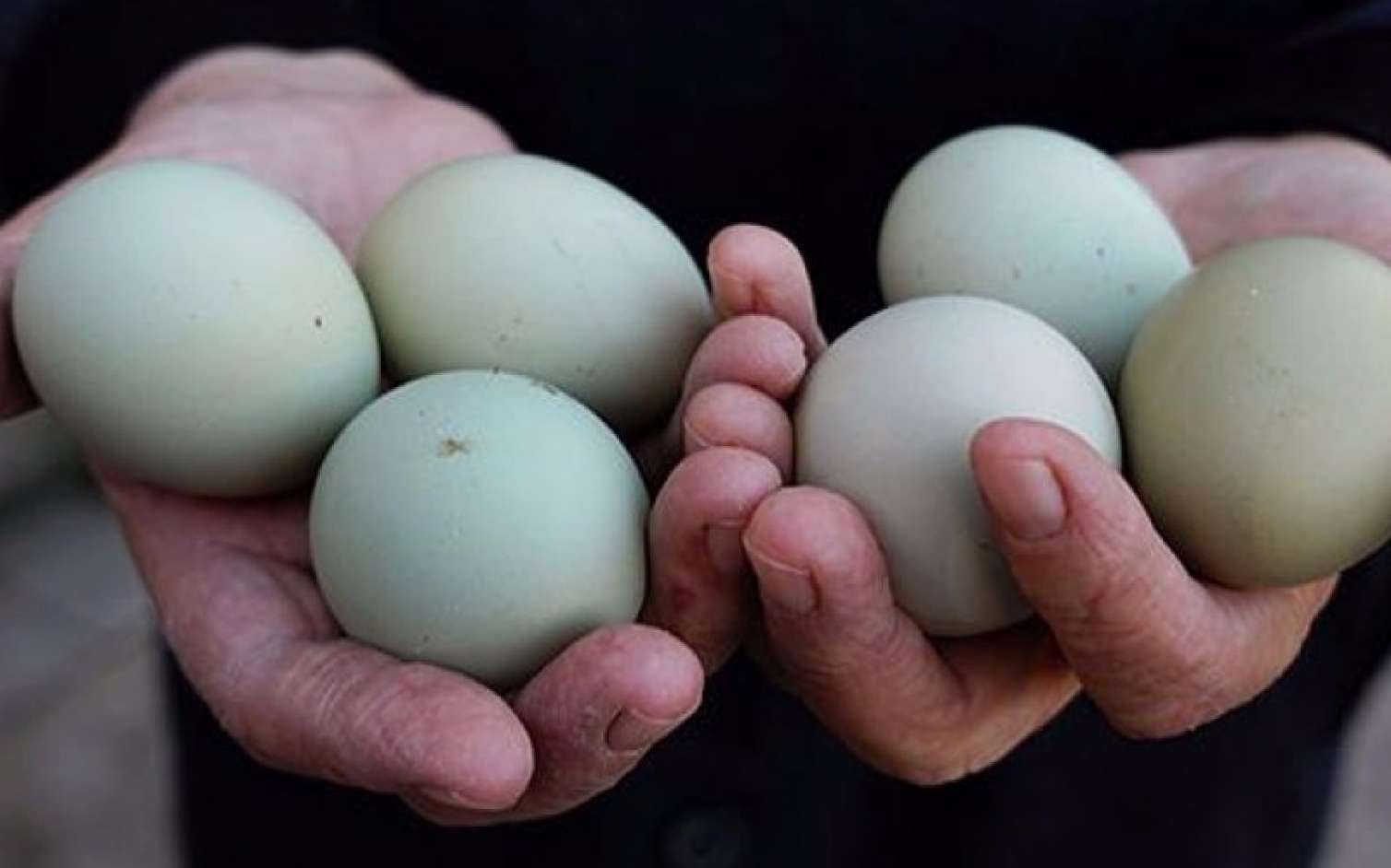 Azərbaycanda biri beş manata olan yumurta satılır -  FOTOLAR