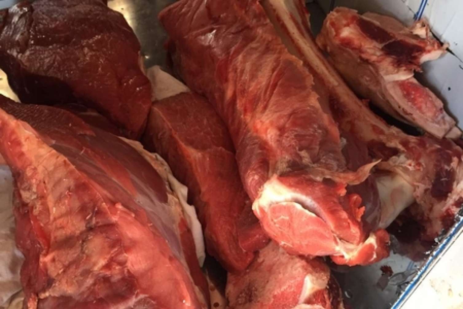 58 kiloqram "leş əti" aşkarlandı -  FOTOLAR