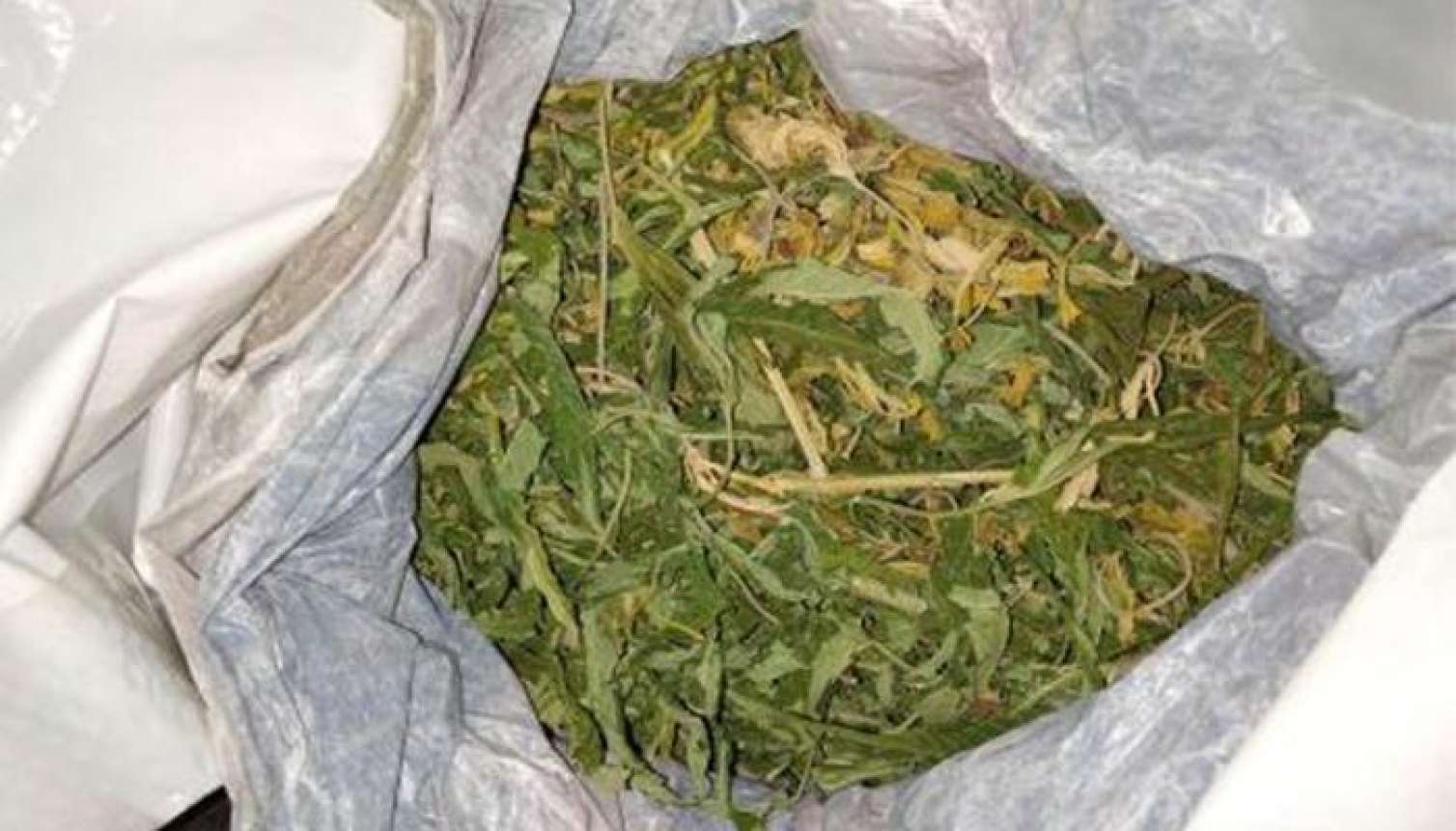 Maştağa sakinindən 7,5 kq marixuana götürüldü 
