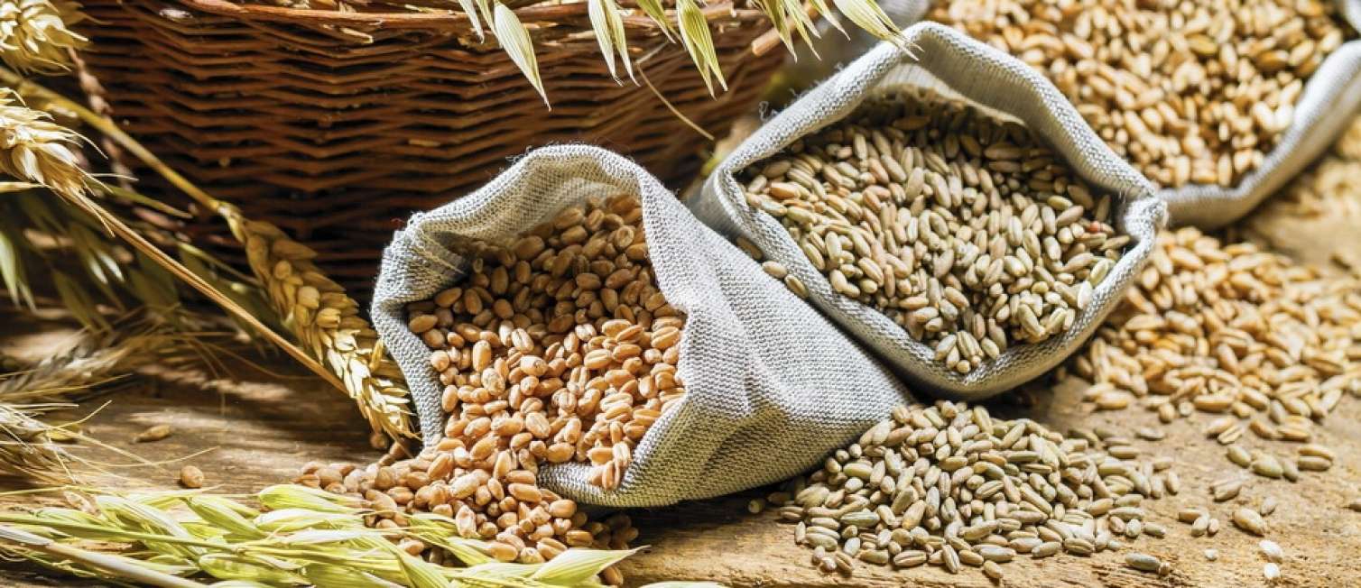 Keçmiş məhkum 1 ton arpa oğurladı 