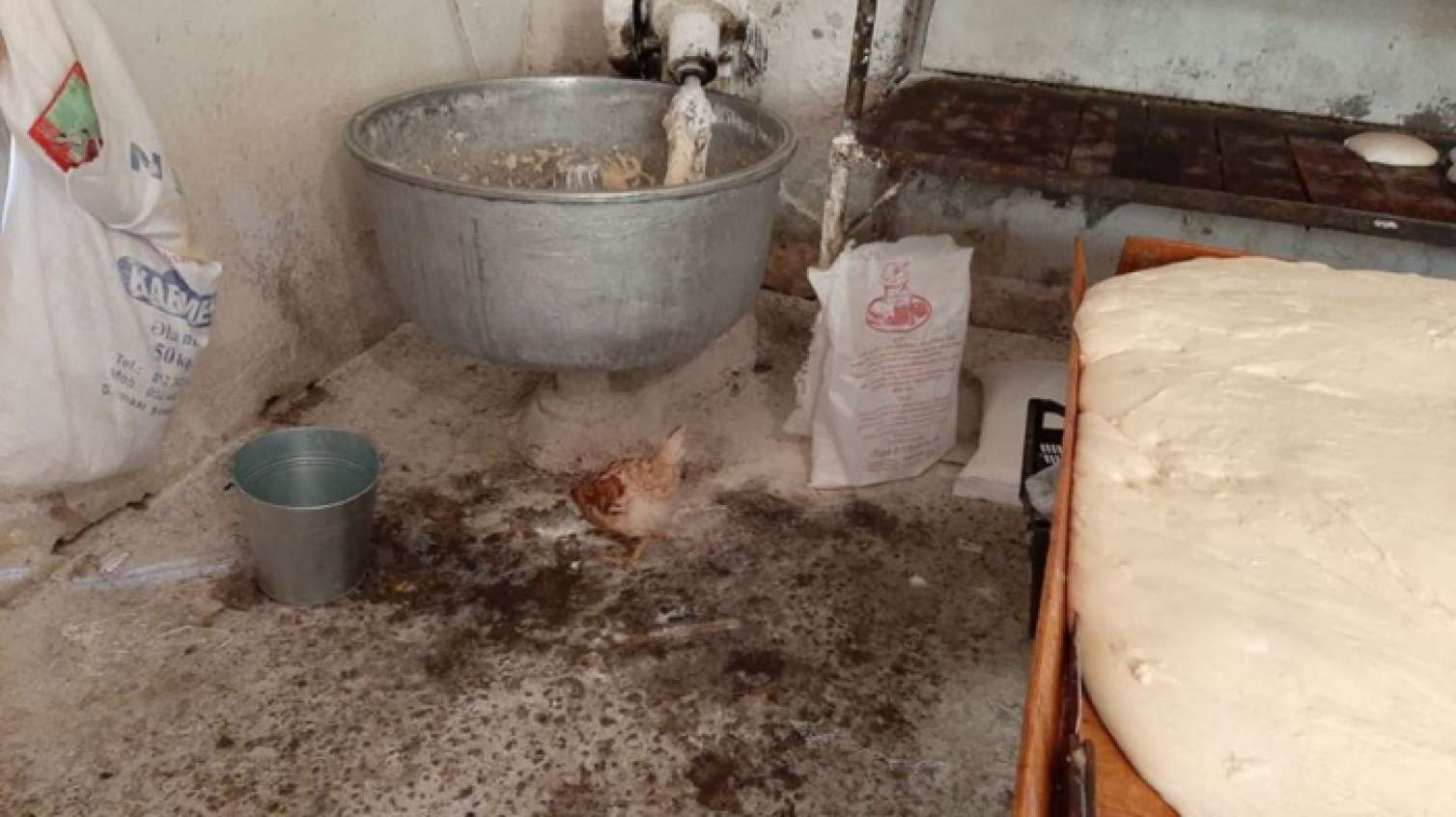 AQTA antisanitar çörək sexi aşkarlayıb -  FOTOLAR