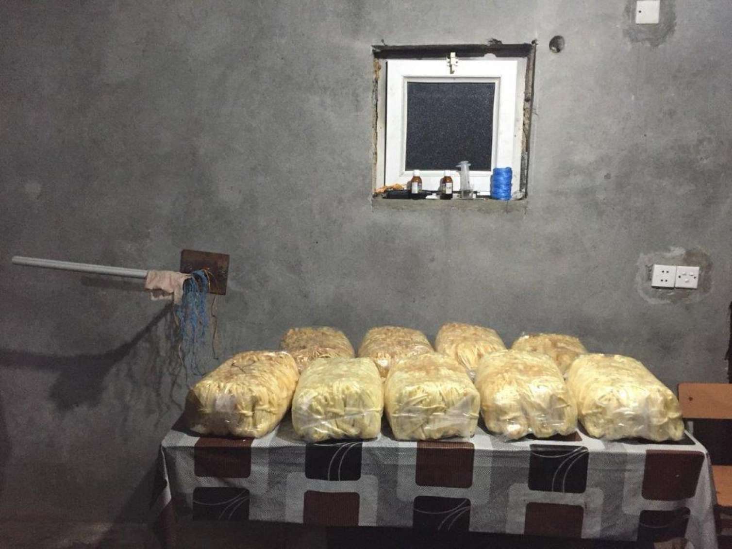 AQTA Bərdədə antisanitar pendir sexi aşkarladı -  FOTOLAR