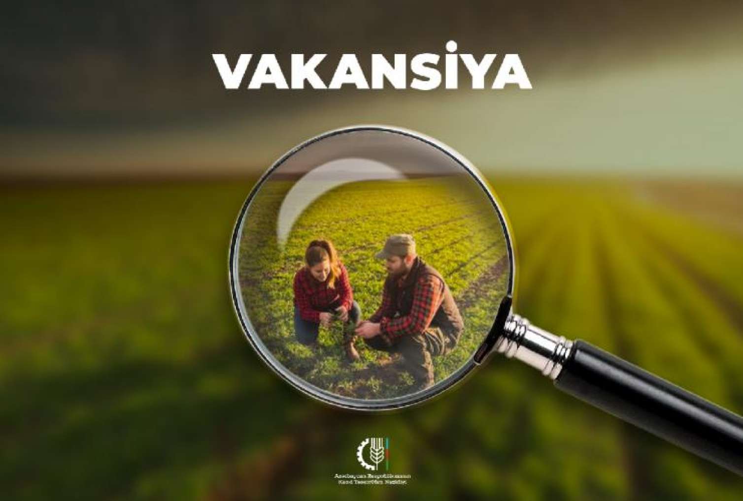 Nazirlik vakansiya elan etdi -  İşsizlərin DİQQƏTİNƏ!