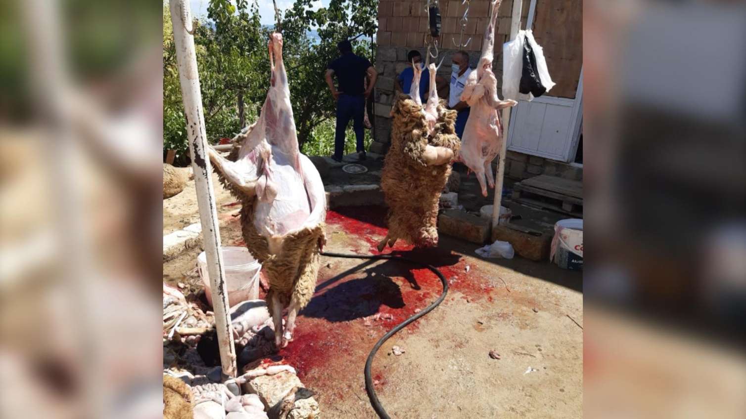 Badamdardakı “Dərə”də qurban kəsən 7 nəfər tutuldu   - Cərimələniblər 