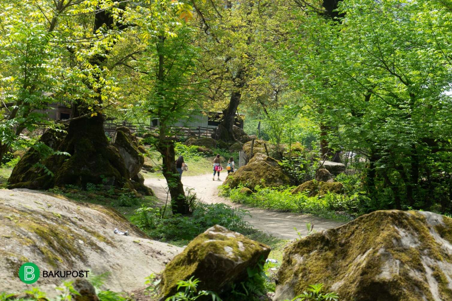 Turistlərin ən çox üz tutduğu yerlər: Orada təbiət belə oyanır -  FOTOLAR