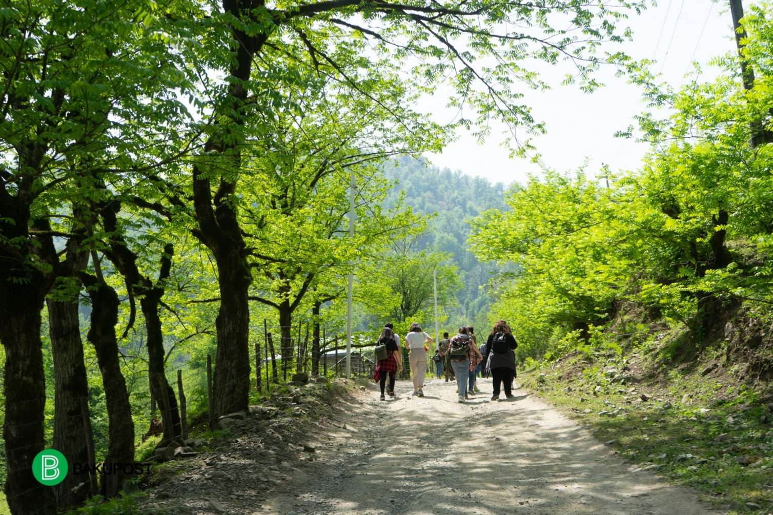 Turistlərin ən çox üz tutduğu yerlər: Orada təbiət belə oyanır -  FOTOLAR