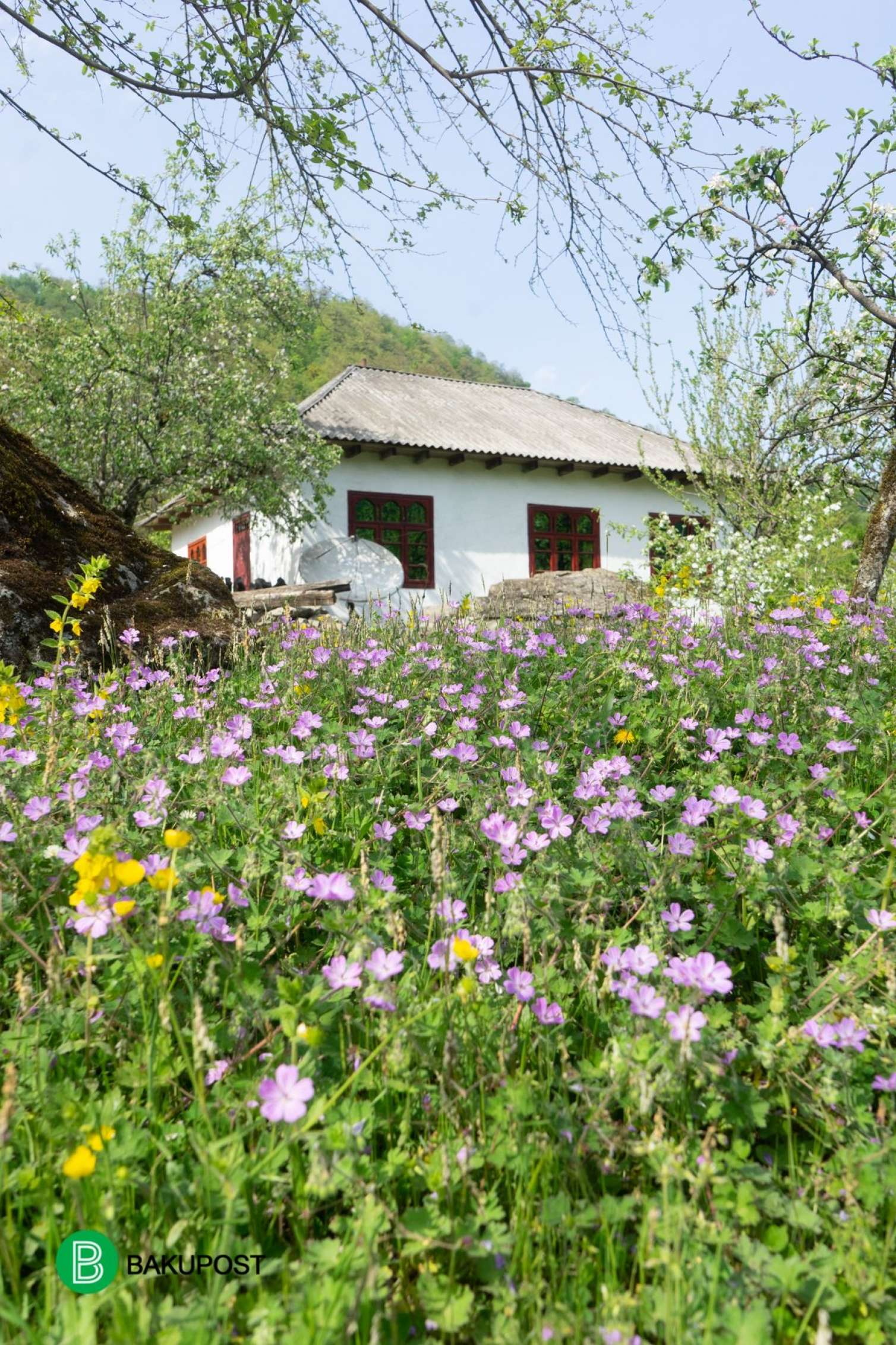 Turistlərin ən çox üz tutduğu yerlər: Orada təbiət belə oyanır -  FOTOLAR