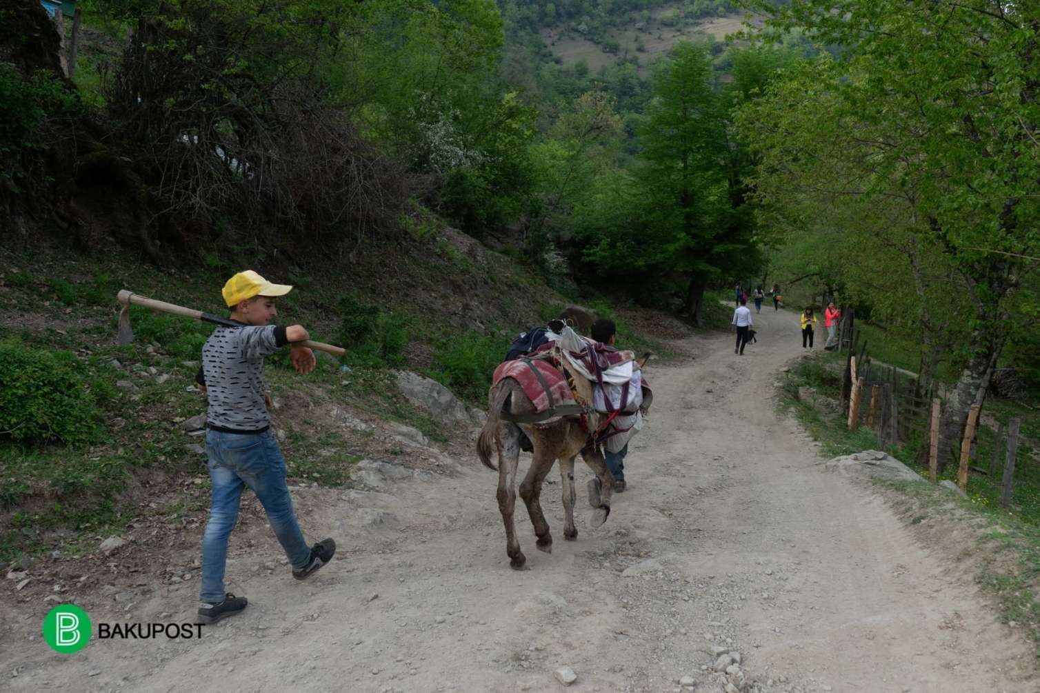 Turistlərin ən çox üz tutduğu yerlər: Orada təbiət belə oyanır -  FOTOLAR