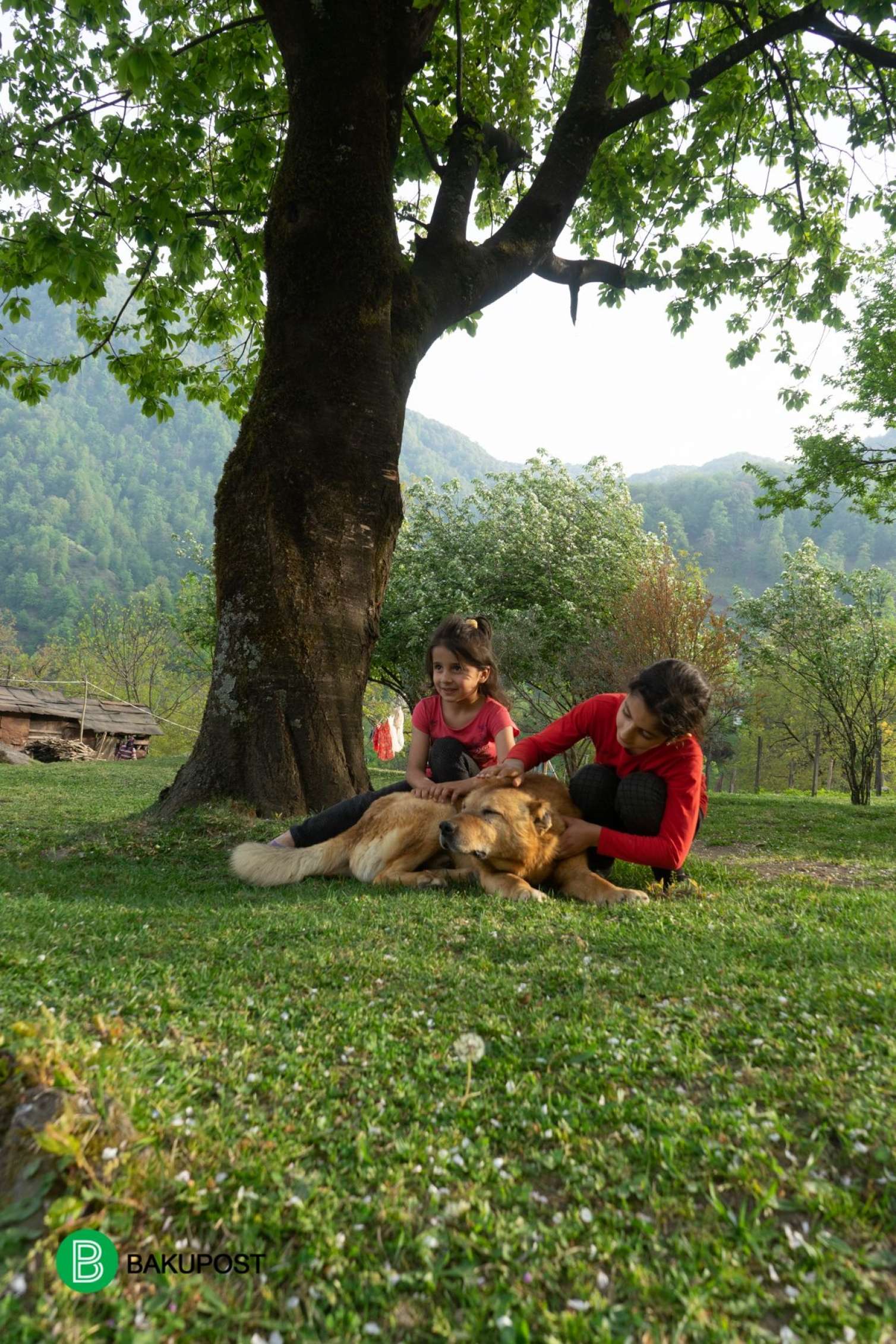 Turistlərin ən çox üz tutduğu yerlər: Orada təbiət belə oyanır -  FOTOLAR