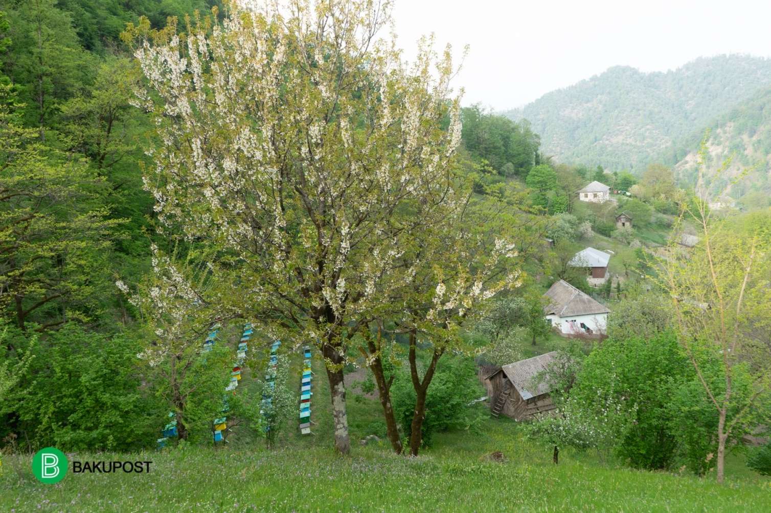Turistlərin ən çox üz tutduğu yerlər: Orada təbiət belə oyanır -  FOTOLAR
