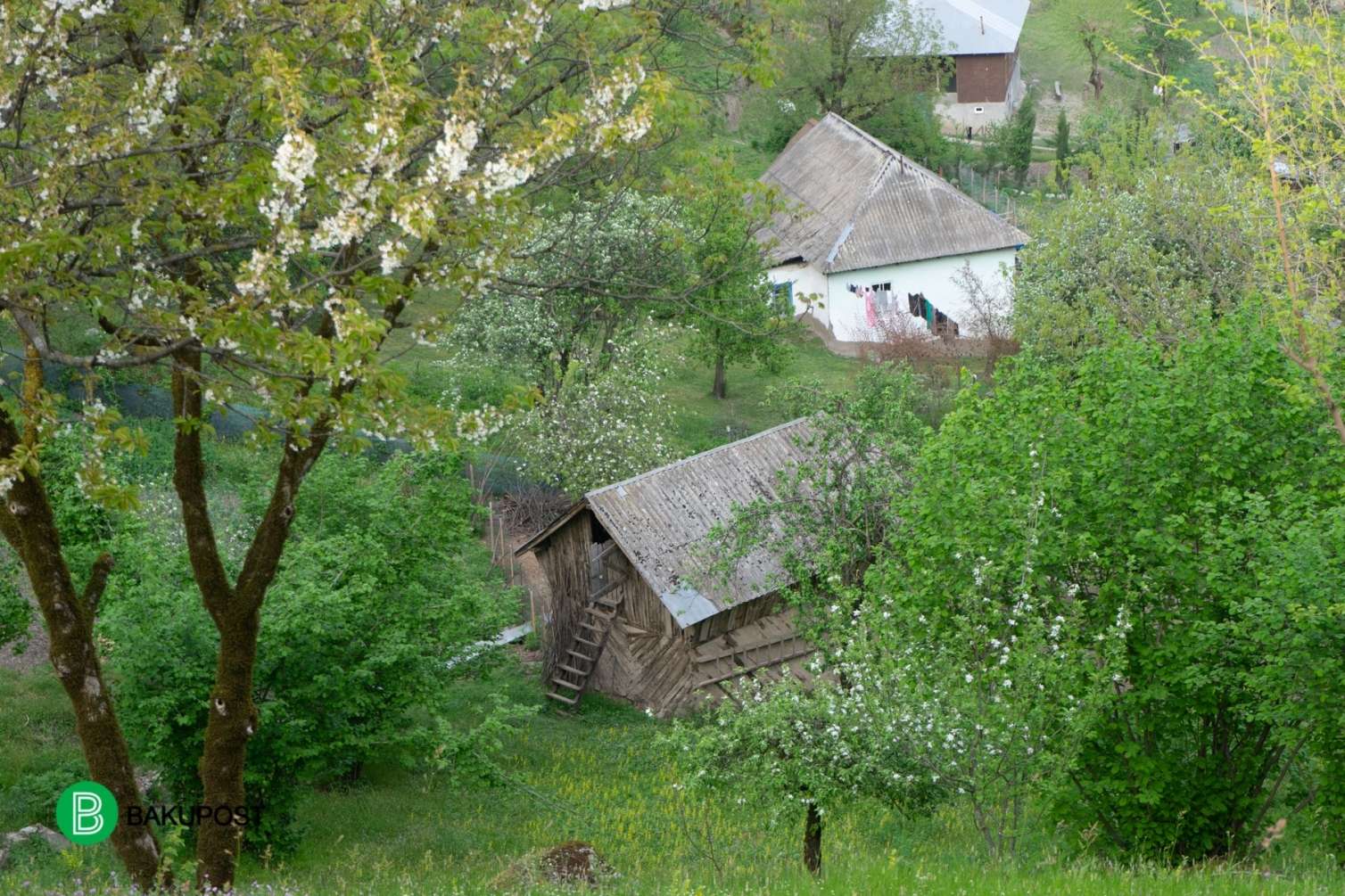 Turistlərin ən çox üz tutduğu yerlər: Orada təbiət belə oyanır -  FOTOLAR