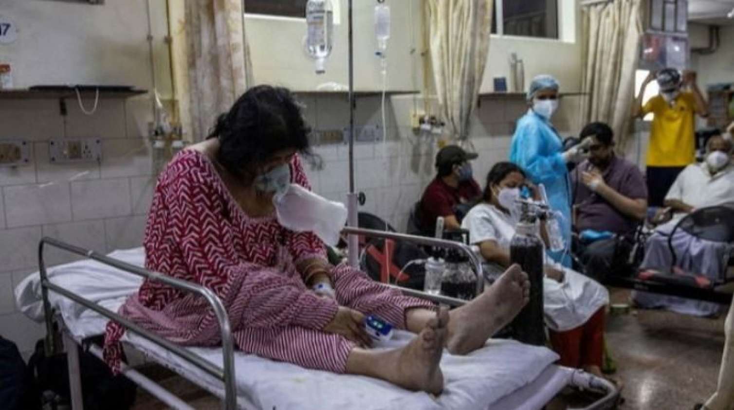 Koronavirusdan sonra yeni bəla -  Dünyaya yayılan "Qara kif"