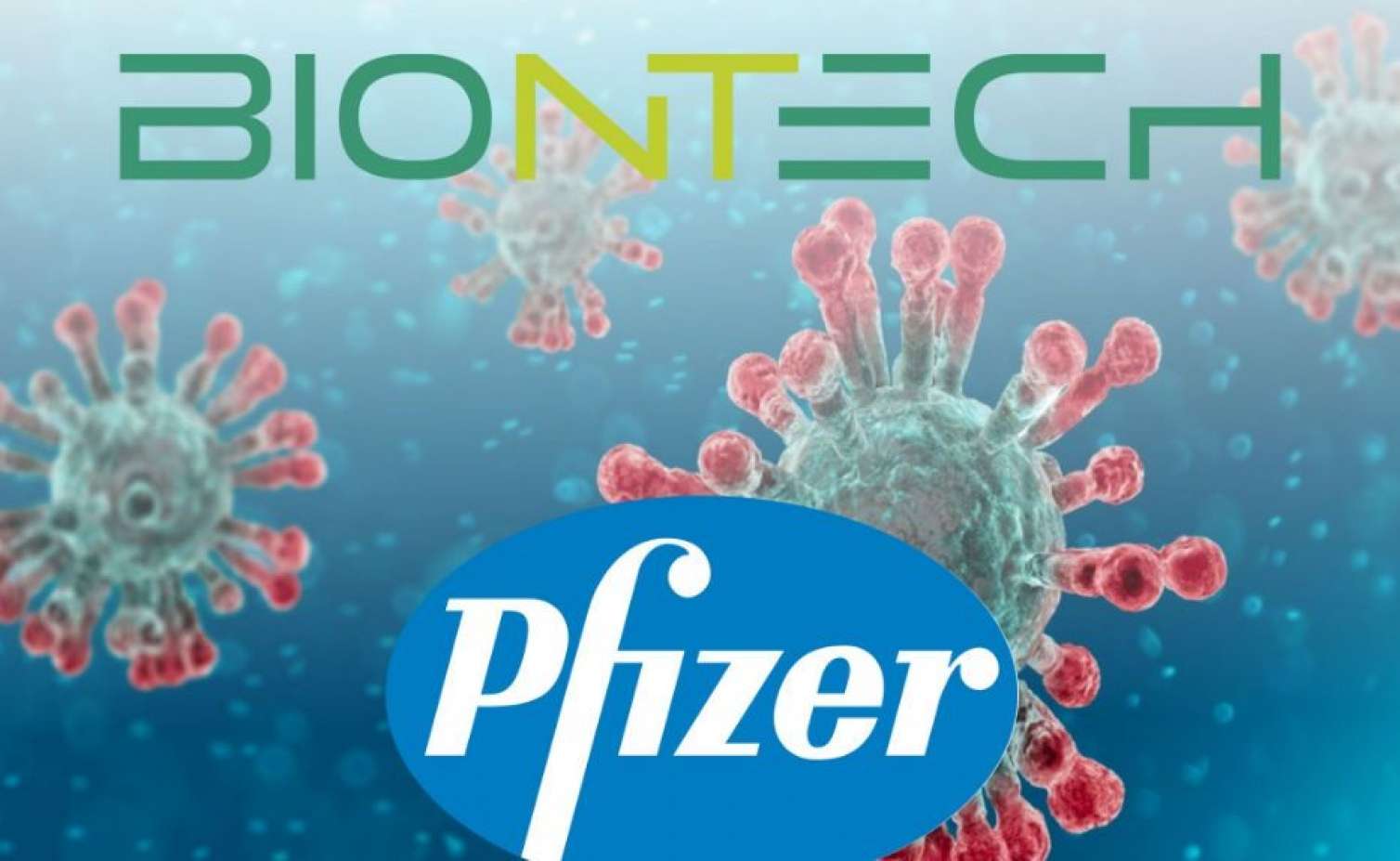  Deputat: "Pfizer"in yan təsiri olmayacağına heç kim zəmanət verə bilməz -  VİDEO