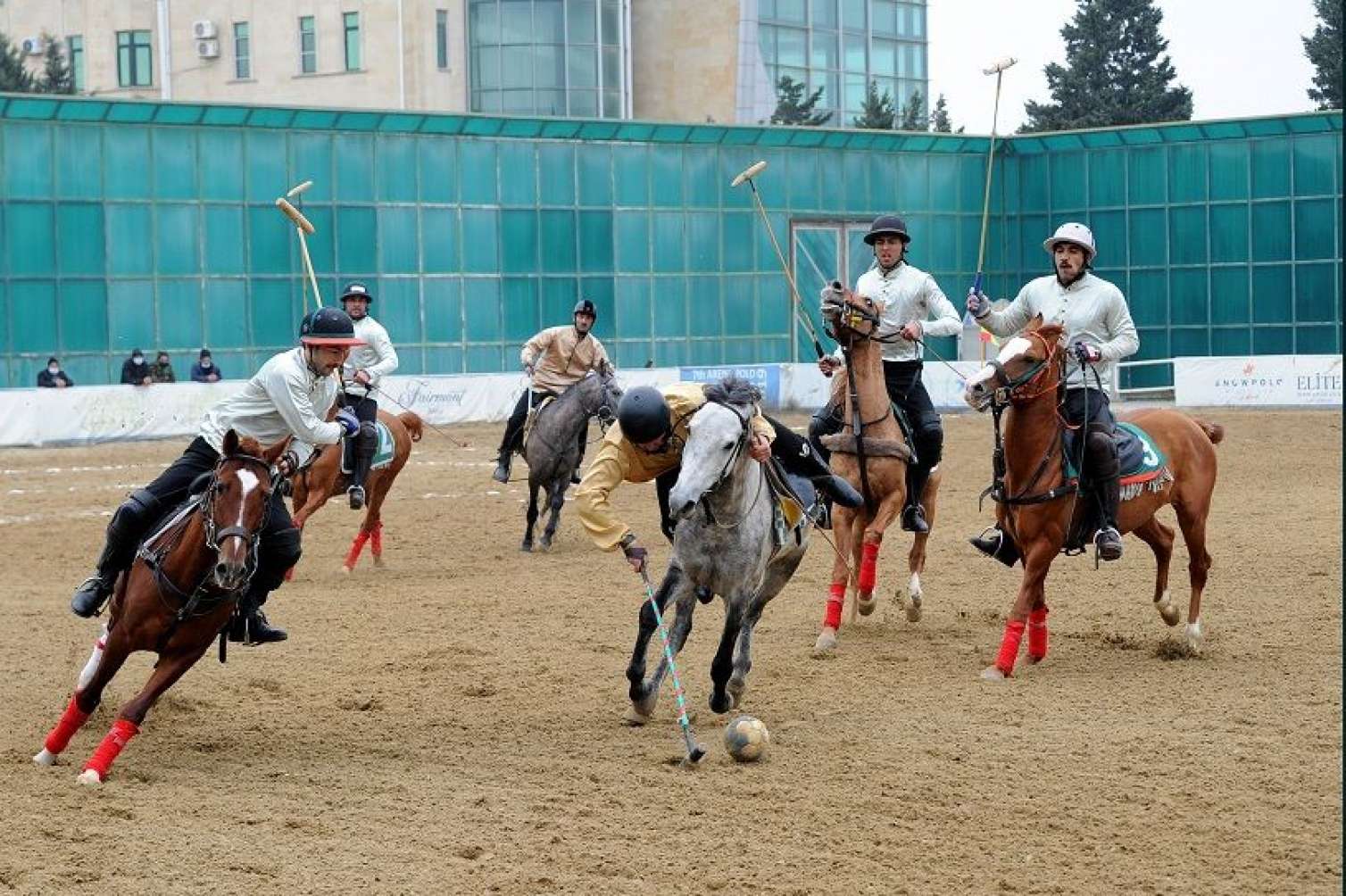 Çövkən oyunu sıradan çıxır: "Atlarımız üçün yem, dərman ala bilmirik" -  VİDEO-FOTO