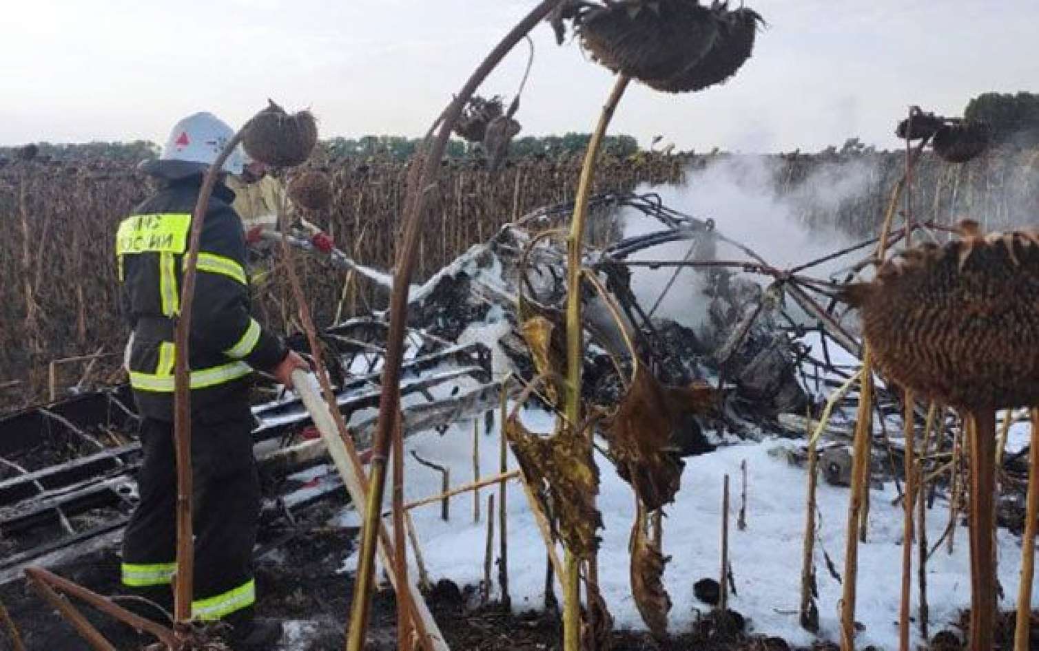 Rusiyada təyyarə qəzaya uğradı, pilot öldü 