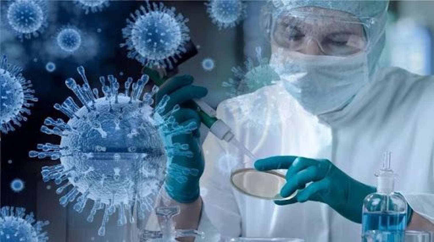 Növbəti mümkün pandemiya: Mənbəyi atlar ola bilər 