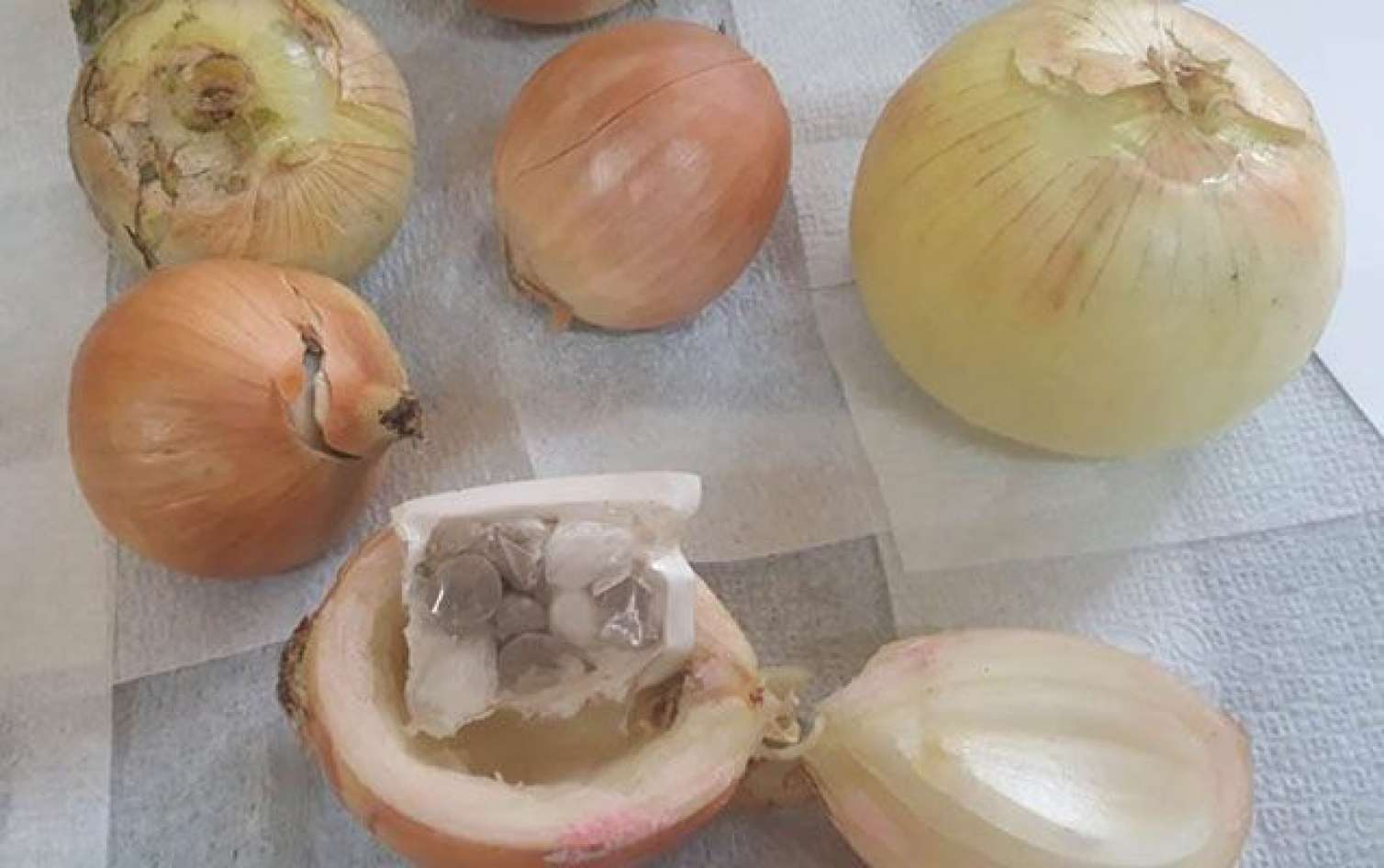 Təcridxanaya soğanın içində narkotik keçirmək istədilər -  FOTO