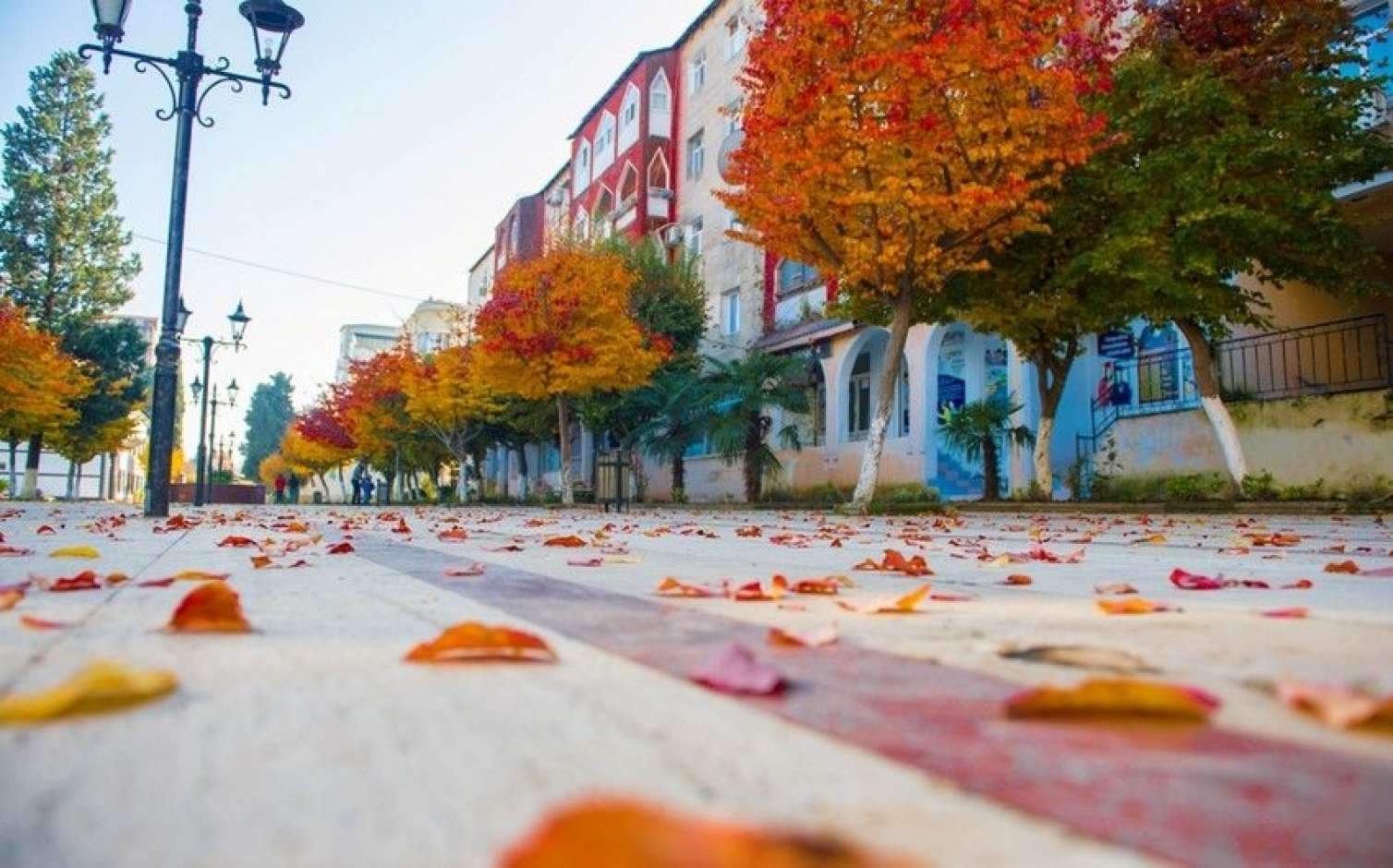 Sabah hava yağmursuz olacaq  