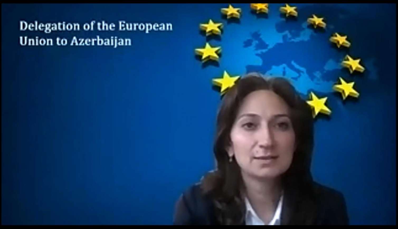 Qadın zorakılığına qarşı vebinar keçirildi -  FOTO - VİDEO