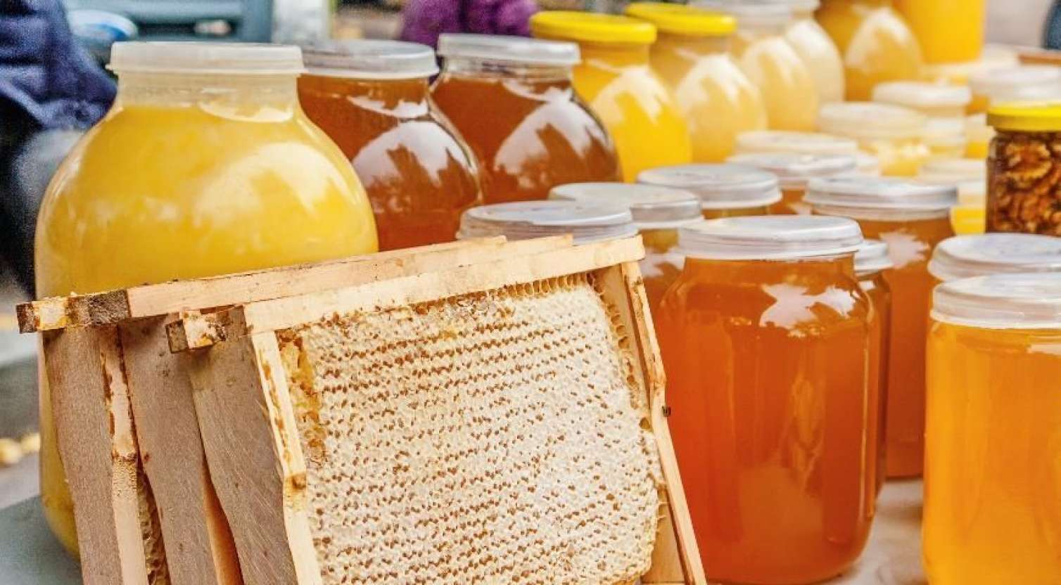 Sabahdan Bakıda bal yarmarkası başlayır 
