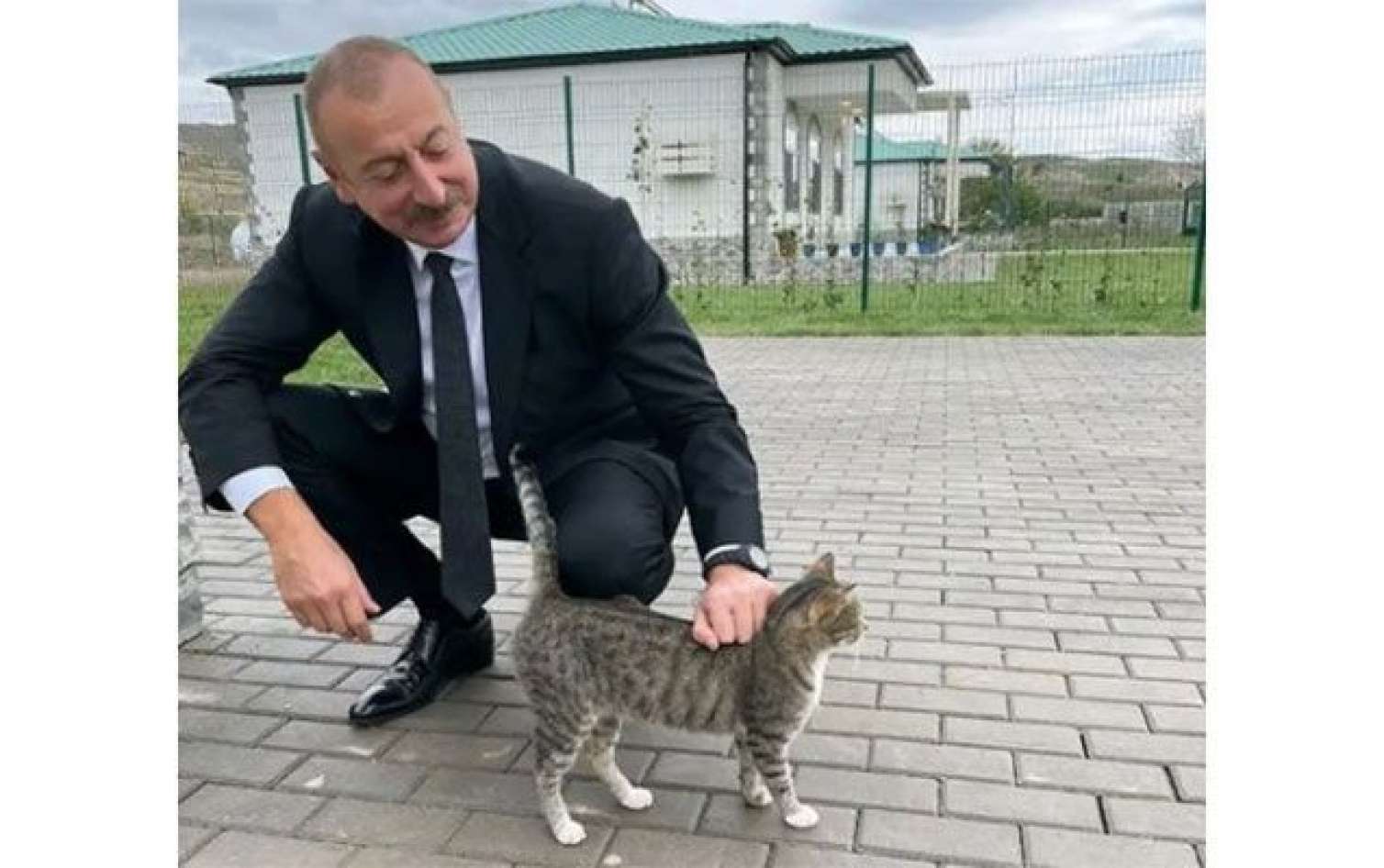 Prezidentin Zəngilandan maraqlı  FOTOSU