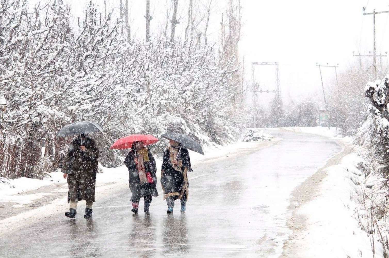Ən çox qar yağan ərazilər - FAKTİKİ HAVA 