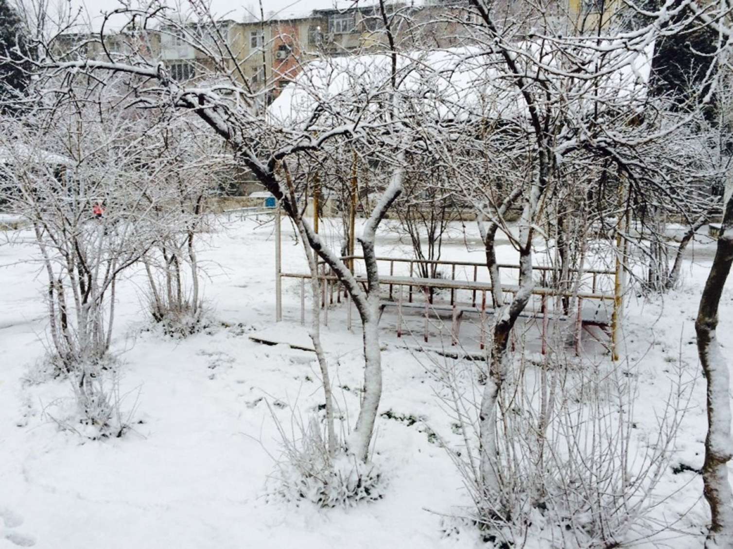 Bu rayonlara qar yağır - Faktiki hava 