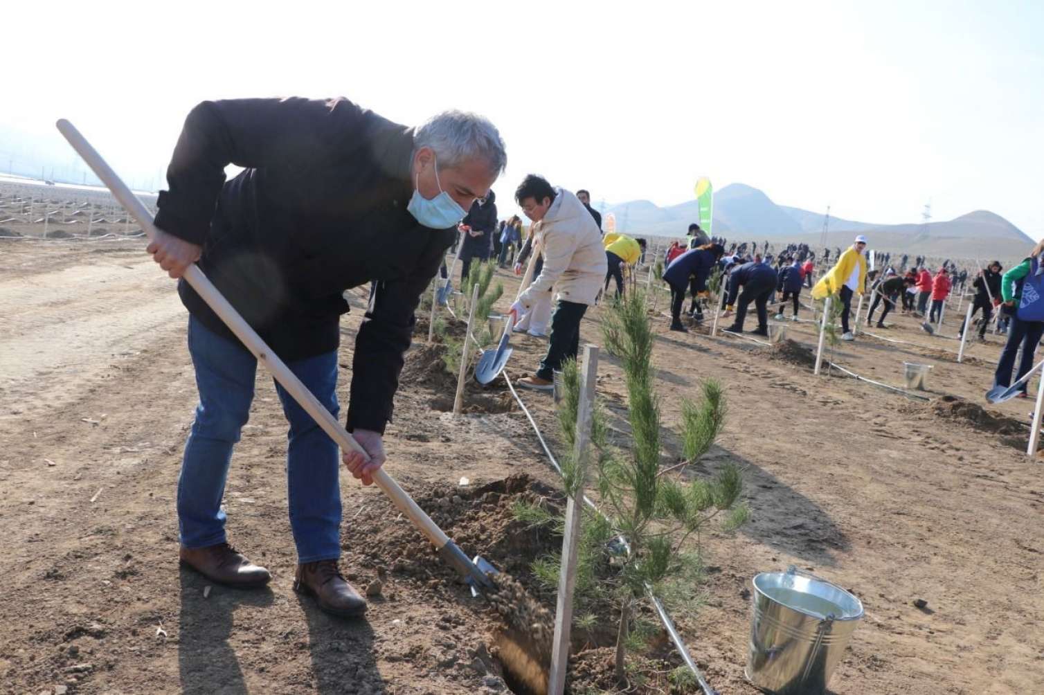 "Yaşıl Marafon"da digər qurumlar da iştirak edir -  FOTOLAR