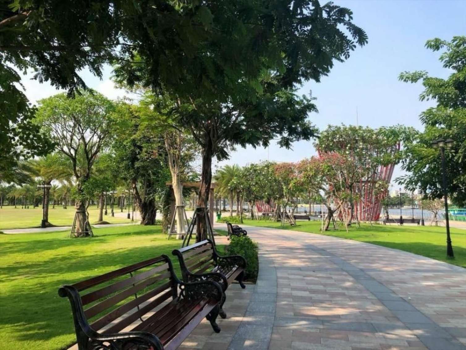 Bakıda yeni doğulmuş körpə parka atıldı 