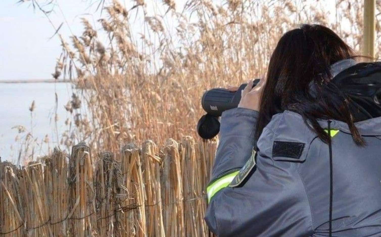 Azərbaycanda köçəri və oturaq quşların sayılmasına başlanıldı -  FOTO