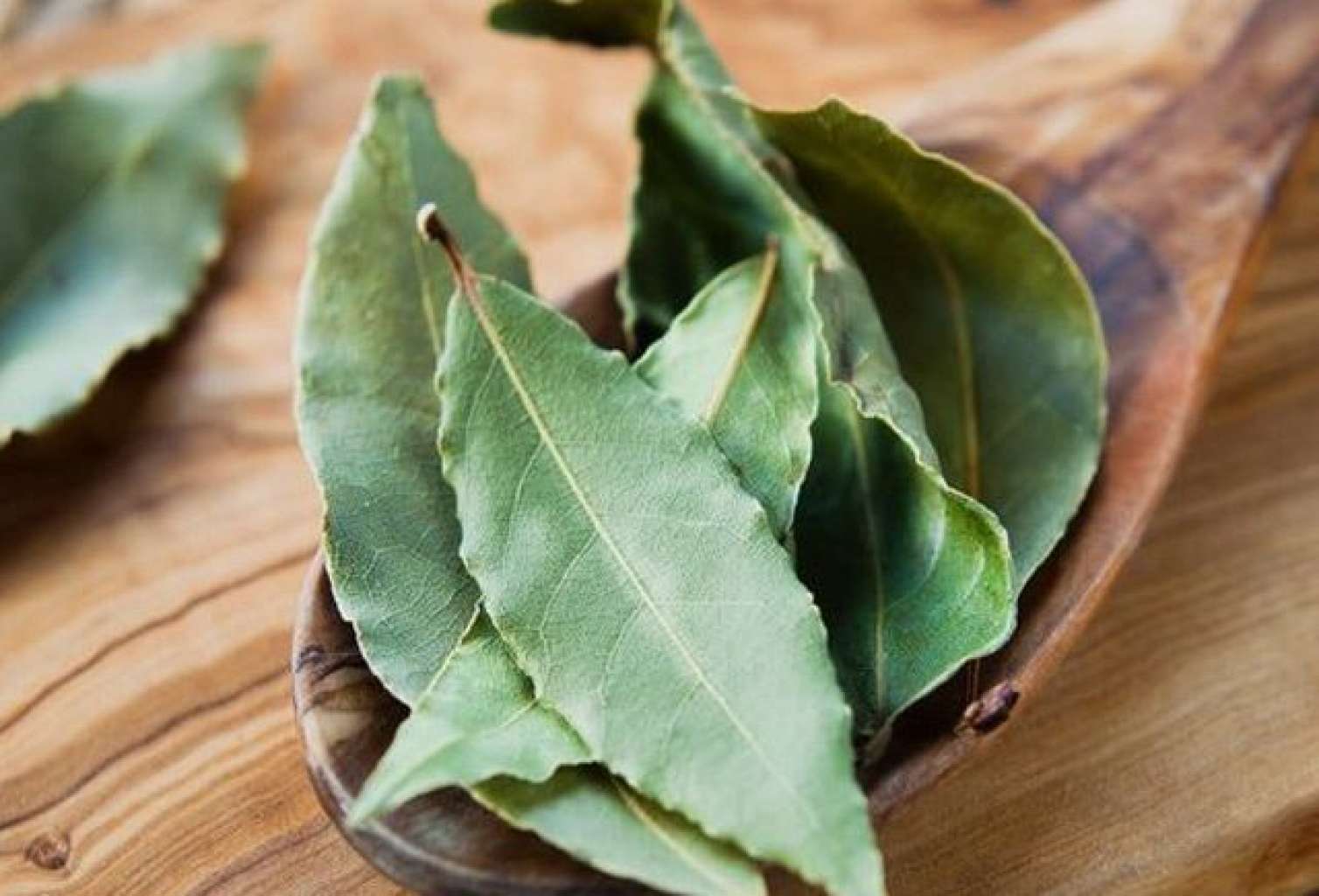 Dekabrda dörd gün dəfnə yarpağı yandırın: həyatınızın necə dəyişdiyini görün... 