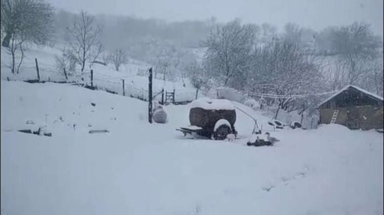 Güclü qar Cəlilabad - Yardımlı yolunu bağladı - Kəndlər işıqsız qalıb – FOTO 