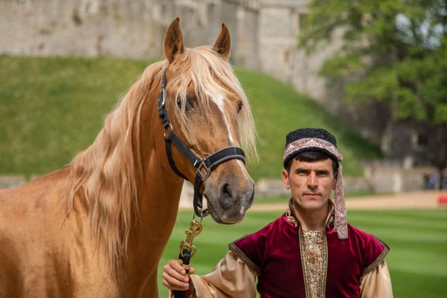İlham Əliyev Kraliçaya at hədiyyə göndərdi -  FOTO