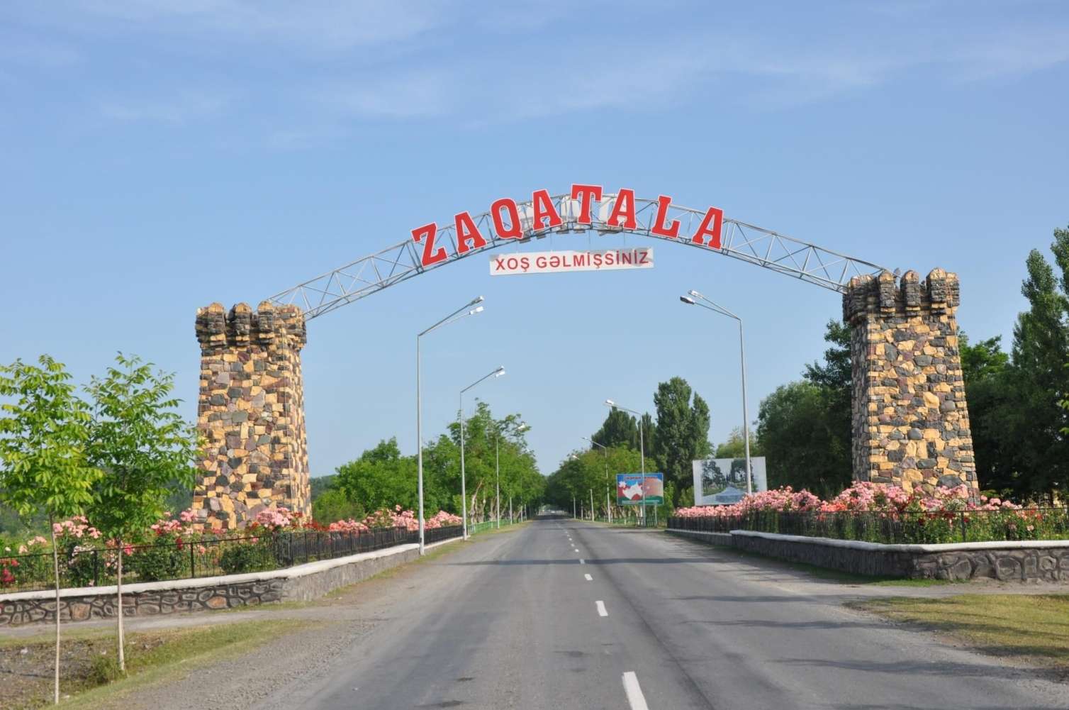 Zaqatala və Balakəndə evləri həşəratlar basdı - Rəsmi açıqlama 