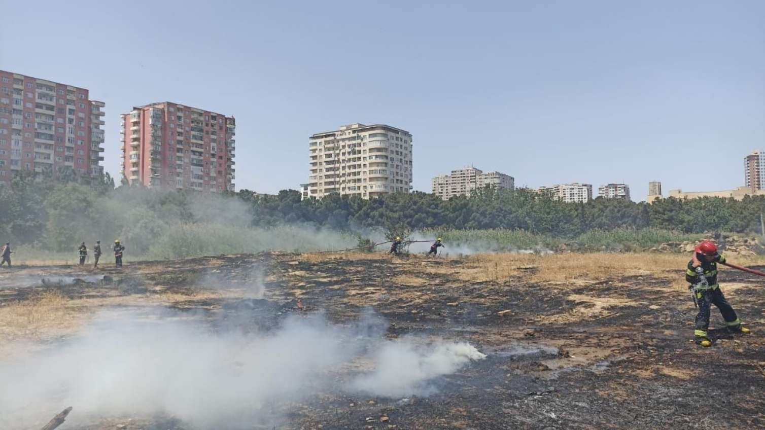 Bakıda parkı yandıran kişi saxlanıldı -  FOTO