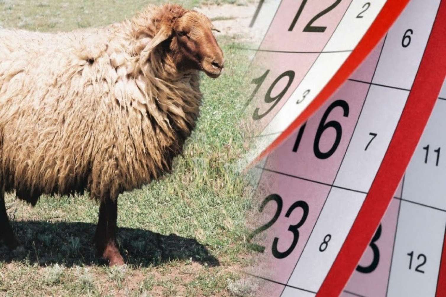 Qurban bayramına görə 4 gün iş olmayacaq 