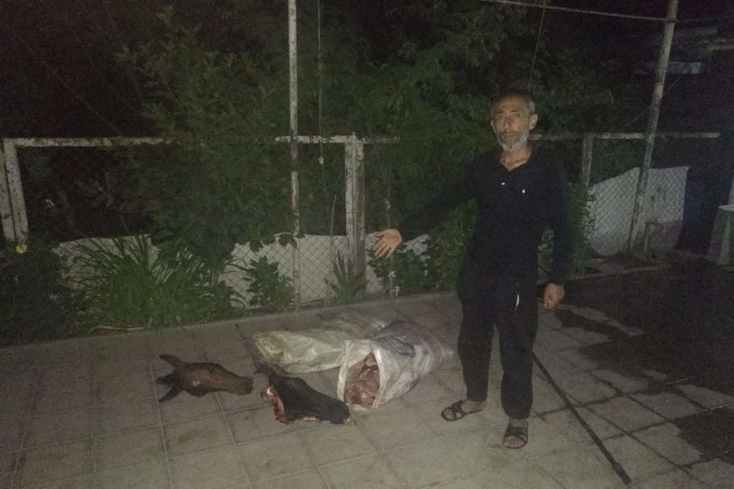 At əti satışına görə yenidən tutuldu -  FOTOLAR